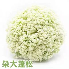 青梗松花菜新鲜长梗花菜蔬菜农家种植非有机菜花现砍散花菜顺丰包