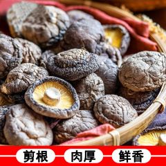 精选西峡特级香菇干货500克包邮厚肉无根小香菇散装蘑菇干冬菇